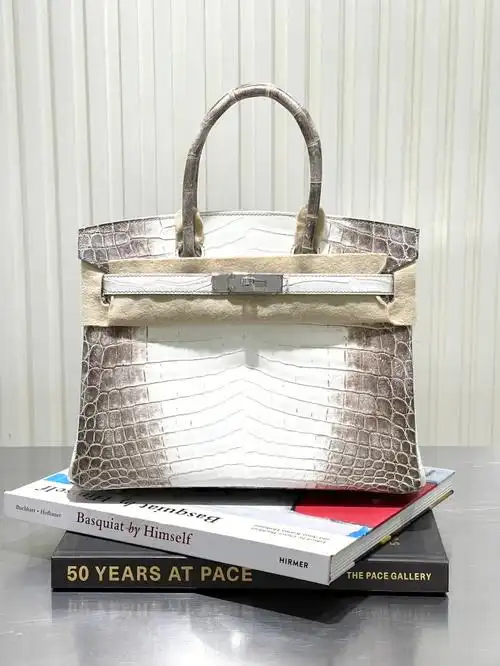 爱马仕喜马拉雅铂金包