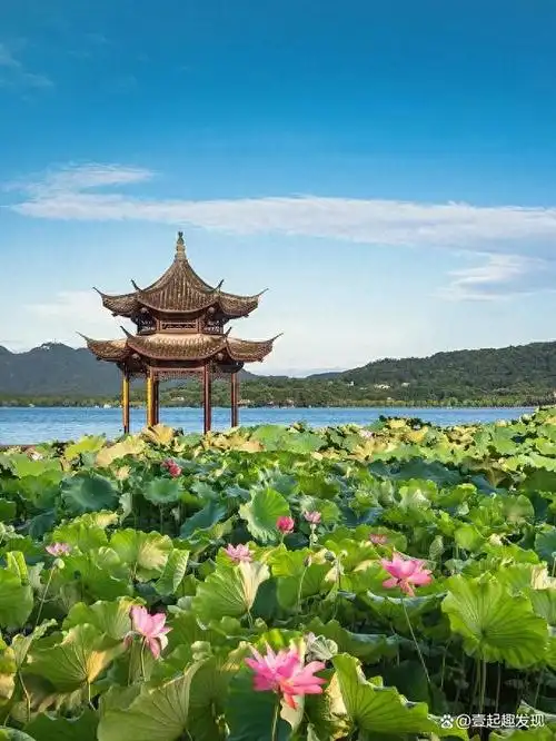 杭州旅游必去的5个景点,你都去过几个?