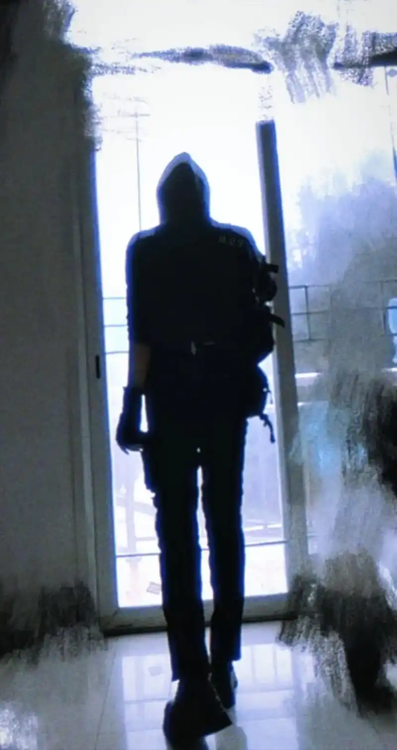 十年之后,如果你还记得我,来找我#小哥 #背影 #盗墓笔记  - 抖音