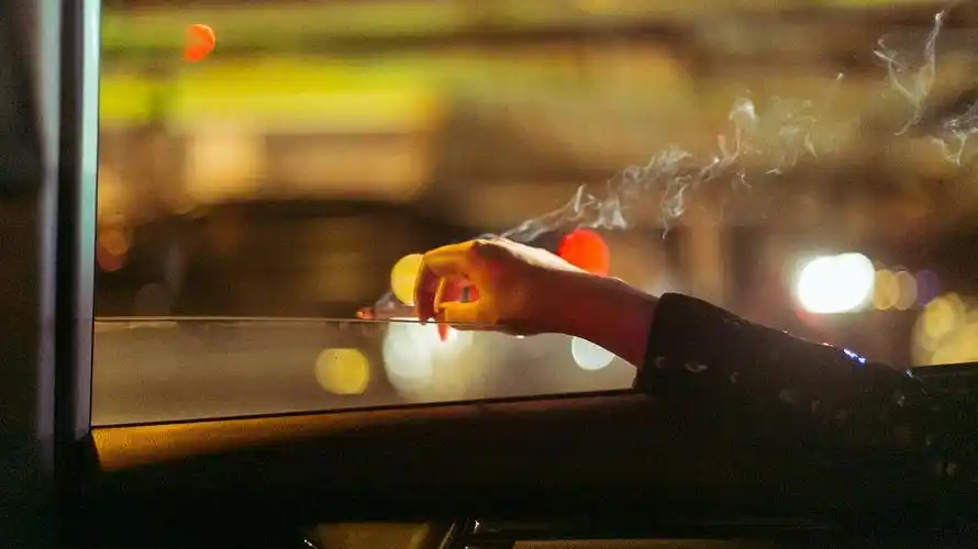 蘑菇sydni的相册-靠车窗的女孩