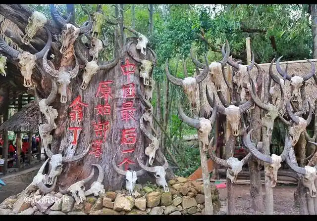 神秘的佤族人,以牛为图腾崇拜,崇尚万物有灵