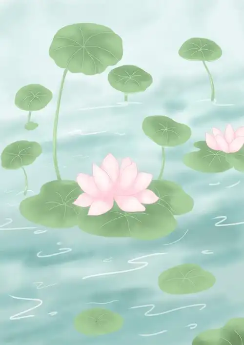 古风插画荷花池塘