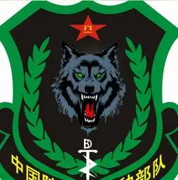 中国陆军特种部队臂章 - 搜狗图片搜索