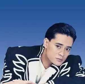 陈汝佳于2004年1月12日因心肌梗塞导致死亡.当天是梅艳芳出殡日.