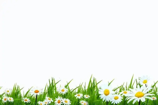 清新小花ppt背景图片