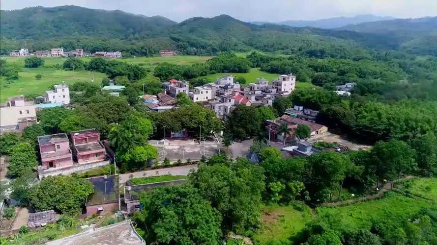 建设美丽乡村------阳春市岗美轮塘高四村