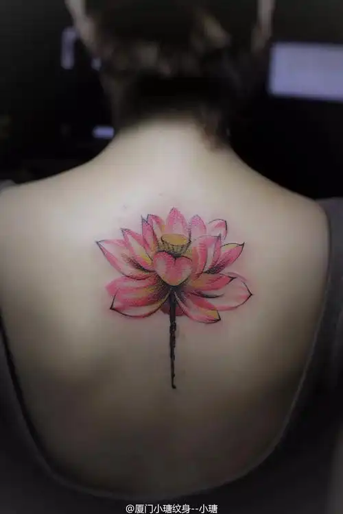 女生背部优雅性感纹身图案 文艺小清新(4)