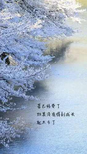 励志文字语录高清手机壁纸图片