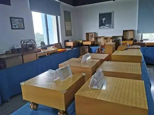 着力推广围棋活动的普及和广泛参与性,由中国围棋棋圣聂卫平先生发起