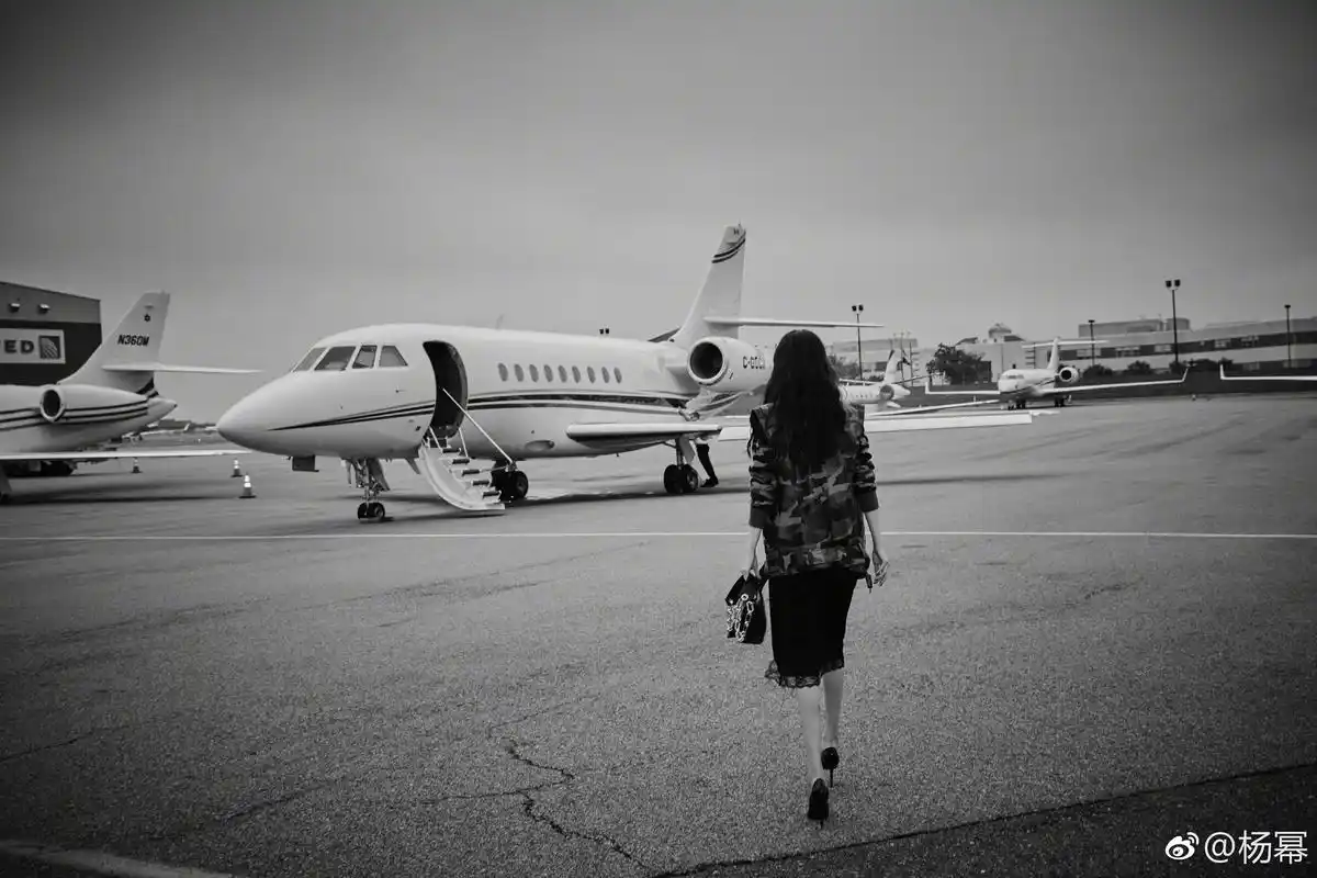 【幂图大赏】 来～评论区po出杨幂女士的绝美"背影杀"叭 尾巴先来