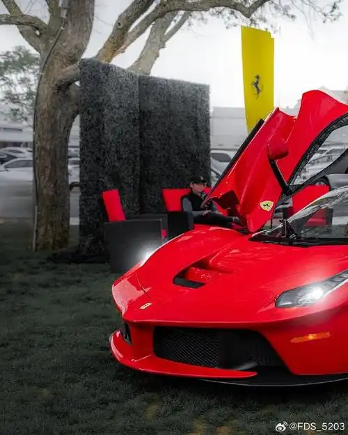 法拉利拉法有需要吗?