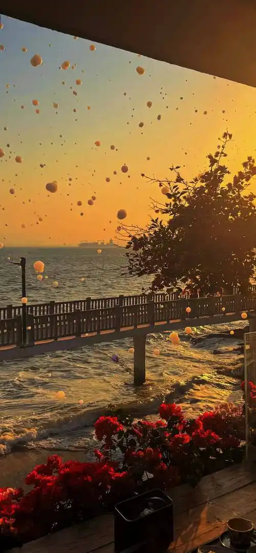 壁纸|好看的壁纸