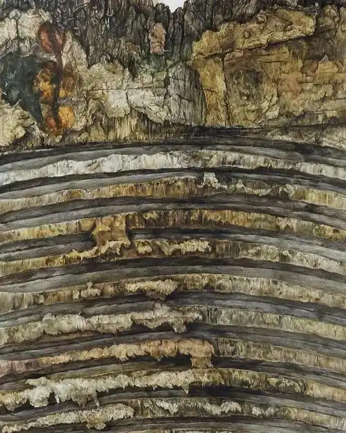 央美逆天精微素描一幅画能写实到什么程度