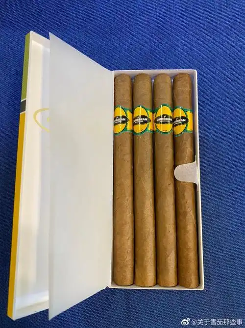 狮牌加勒比阳光