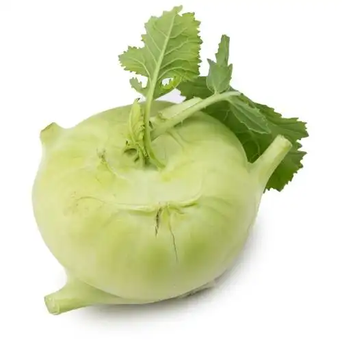 春播安心直采苤蓝500g