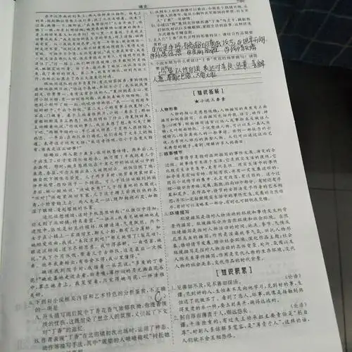 高一十班王晨曦的语文作业