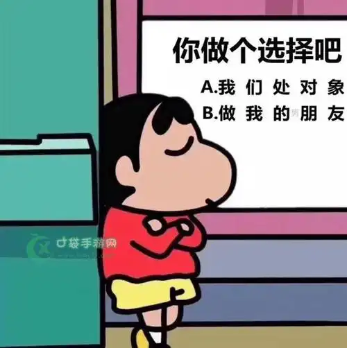 你做个选择吧表情包