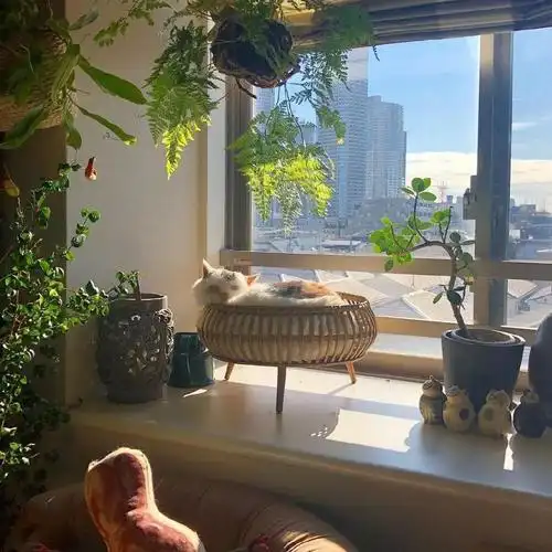 [背景/头像]纯字‖纯景‖纯纯的‖静景‖安静‖温柔‖唯美