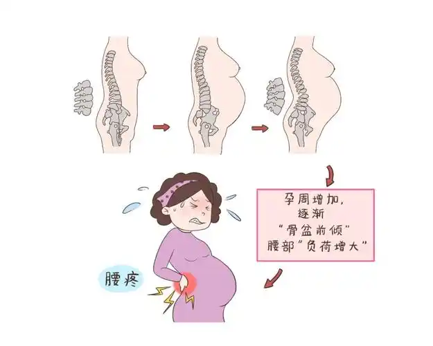 孕期里除了肚子这四个部位也要重点保护孕妈别大意