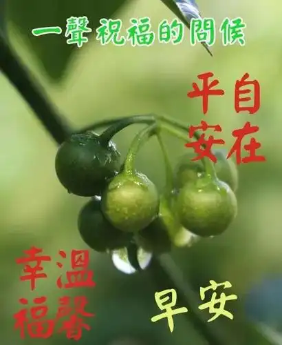 原创夏日清晨有创意的早上好免打字图片带祝福语夏日温馨的早上好图片