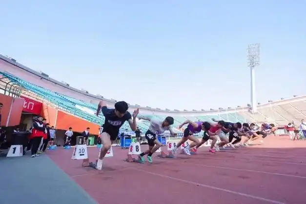 测试赛设置了100米,200米,400米,800米,1500米,110米栏,立定跳远,跳高