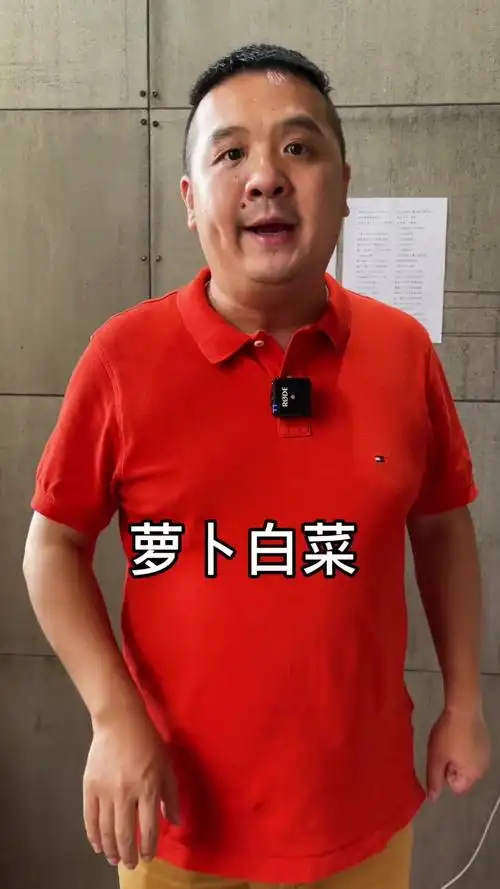 喜子工作室 武汉人 喜子来了