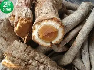 福建古田野生猕猴桃根 包邮 正宗白猕猴桃根另有新鲜500g 藤梨根