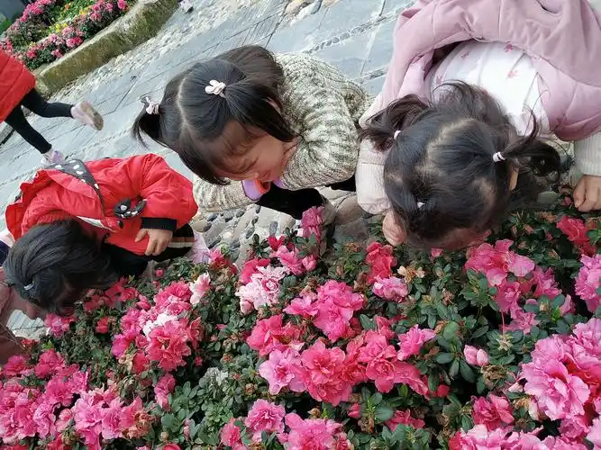 【走进自然 感受春天】杨岐乡中心幼儿园中班踏青活动