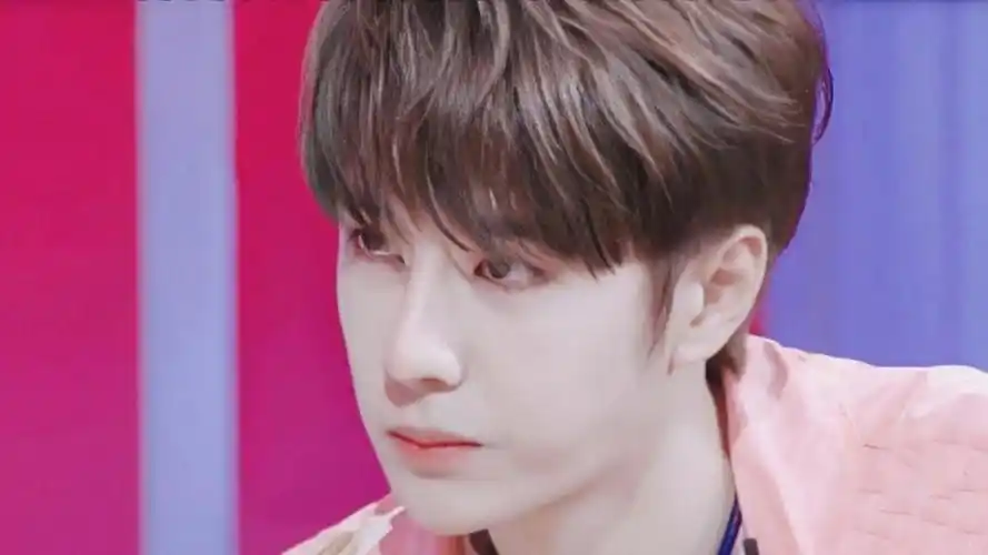 小清新男神王一博休闲粉色衬衫写真,高清壁纸图片,大陆明星-回车桌面