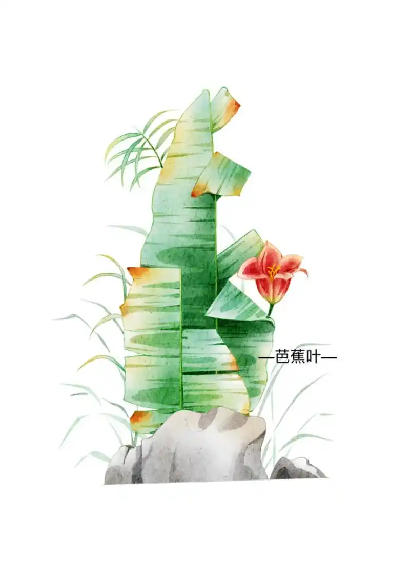 画水彩  芭蕉叶 附步骤 #procreate绘画 #零基础 - 抖音