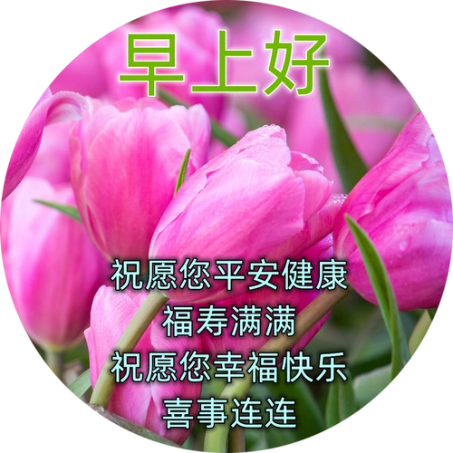 春季祝福早上好祝福语录最新版漂亮早上好问候语祝福表情图片