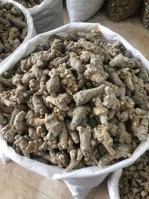 云南野生田七(三七)古籍常说"人参补气第一,三七补血第一".