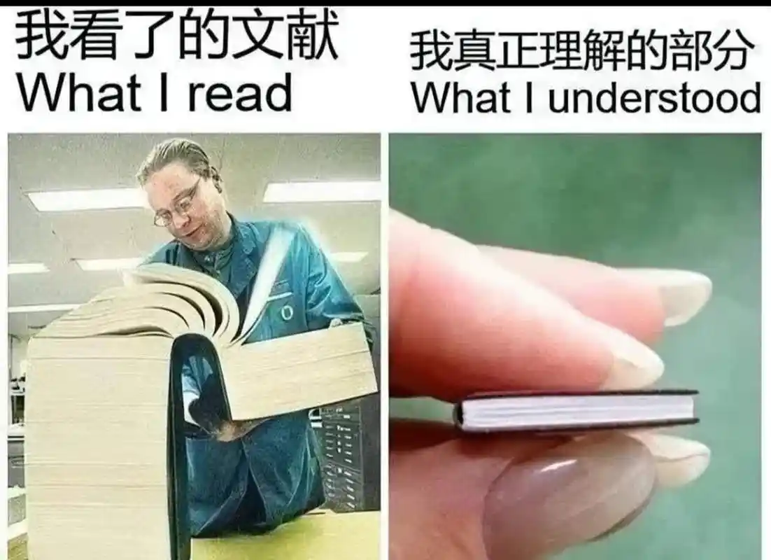 这可能仍然是一篇优秀的论文[大笑][大笑]#搞笑