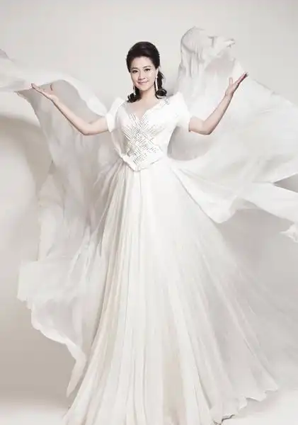 王丽达《共圆中国梦》 放歌金鸡百花开幕式(图)