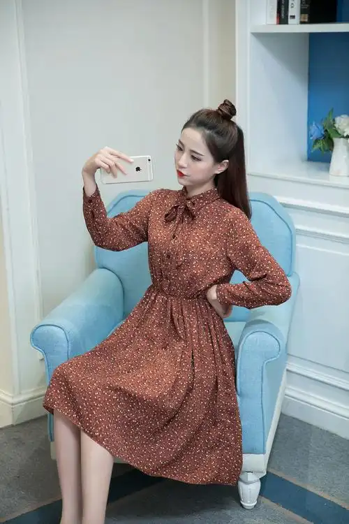 名媛时尚2017春季新款雪纺连衣裙女长袖打底裙大花女长裙