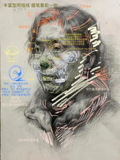 美术生  #素材分享  #素描头像  #素描