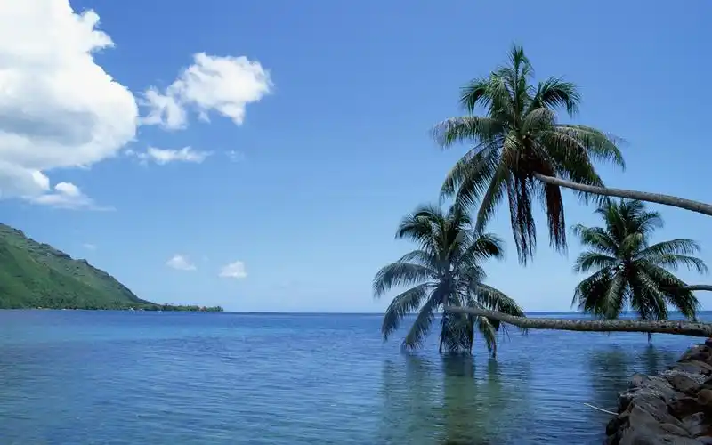 海滨风光 壁纸(三)15 - 1440x900