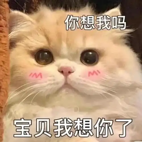 分享微信聊天表情包啦