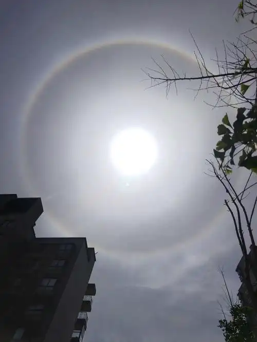 今天顶着这个太阳跑了一下午