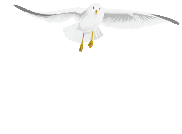 639_471gif 动态图 动图