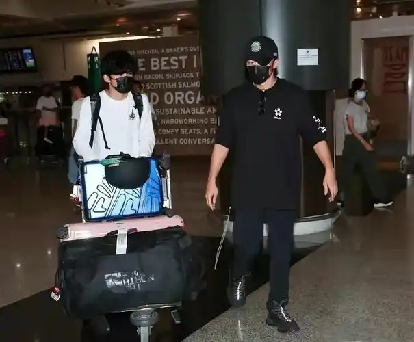 大儿子是谢振轩 , 二儿子是谢振南 , 两个儿子都遗传了父母的好或因