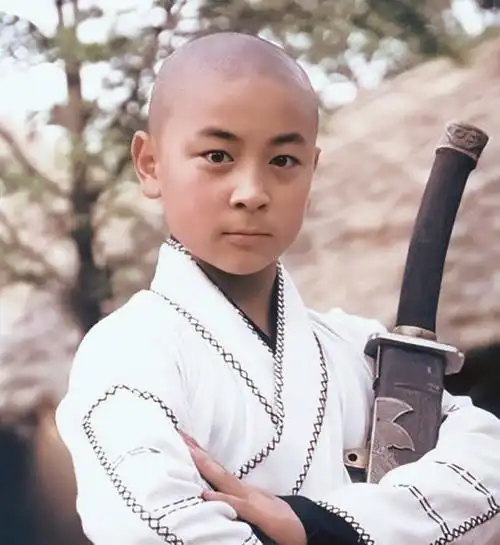 释小龙多大了几几年生(33岁的释小龙,从顶流"武打童星"到无戏可拍,早