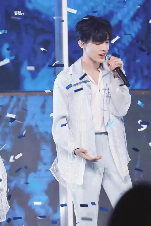 张泽禹演唱会生图