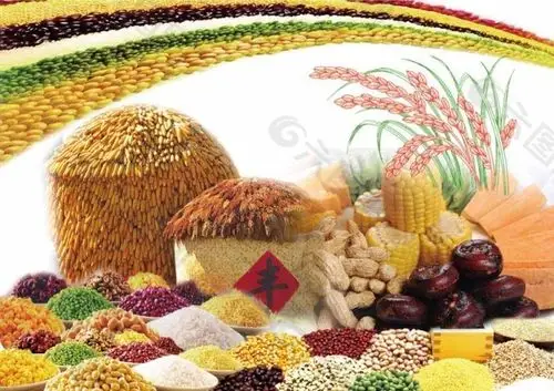 五谷杂粮丰收素材