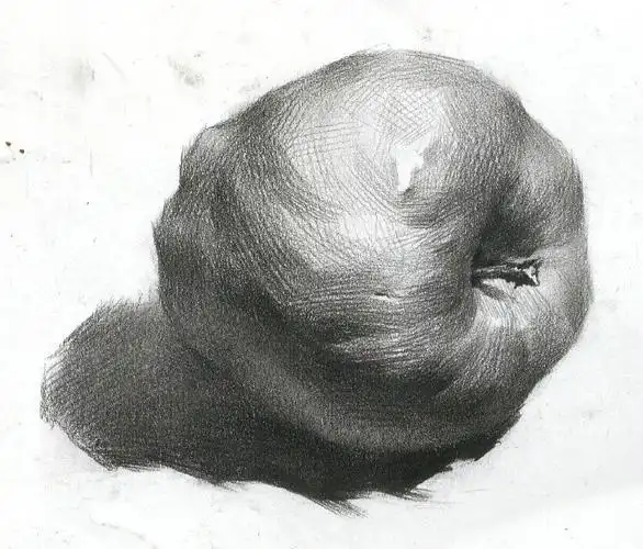 素描静物苹果细节图集优秀素描局部图片欣赏