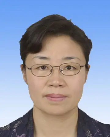 刘晓梅 (政治人物)