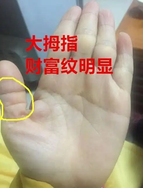 左右手财富纹明显,日后必定事业大成大富大贵!