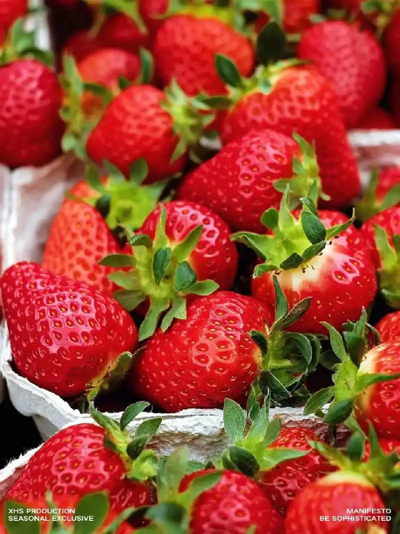 壁纸 矢量 水果 小果 植物 1440_1920 竖版 竖屏 手机