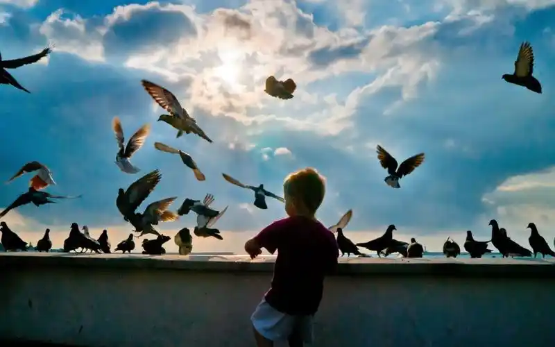 可爱的宝宝图片高清宽屏壁纸 可爱宝宝,童年,个人写真,可爱小孩,快乐