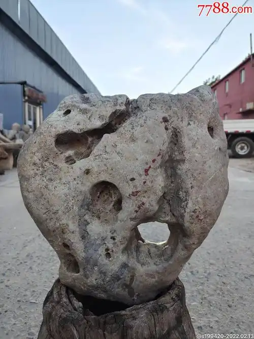 清早期太湖赏石原石孔洞相连造型美观包浆老辣尺寸4835